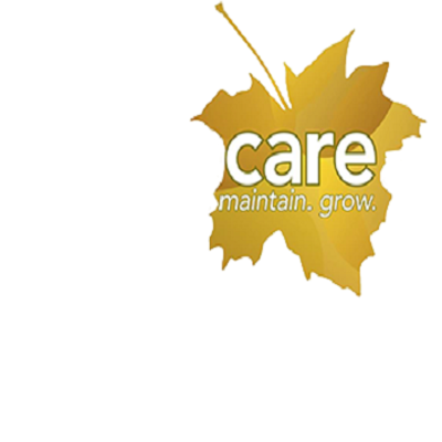Expert Tree Removal Services | Safe & Efficient Tree Cutting